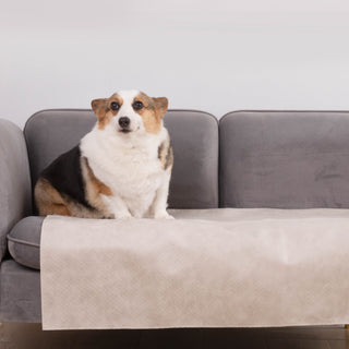 Housse de canapé imperméable pour chien et chat