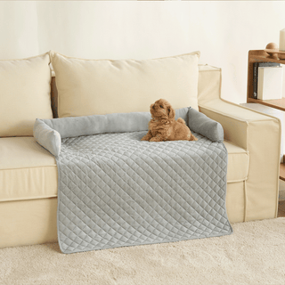 Couverture et housse de canapé imperméables pour chiens et chats