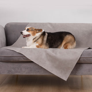 Housse de canapé imperméable pour chien et chat