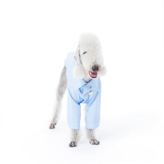 Chemise rafraîchissante et antiallergique pour chien en bambou