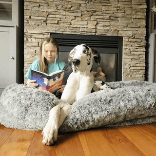 Lit pour animaux Dozy Donut