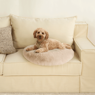 Tapis pour animaux de compagnie Fur Cloud