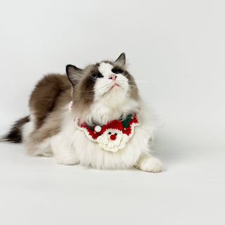 Accessoires de Noël tricotés à la main pour animaux de compagnie