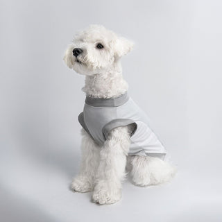 Gilet rafraîchissant léger pour animaux de compagnie UPF70+