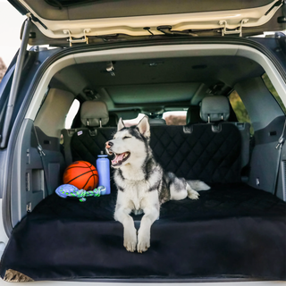 Tapis de chargement SUV imperméable antidérapant pour chiens