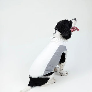 Gilet rafraîchissant SBL pour chien