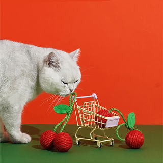 Jouets pour chats ZEZE Pets Tropical Fruits