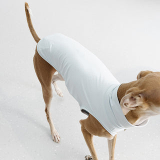 Gilet pour chien Flaner UPF1000+ de GASU