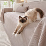 Taupe Coquillage