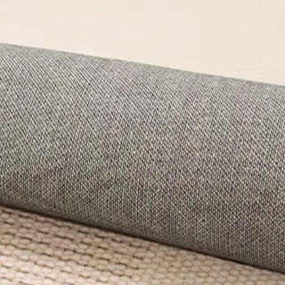 Tapis facile à nettoyer, moderne et minimaliste, résistant aux éclaboussures, adapté aux animaux de compagnie