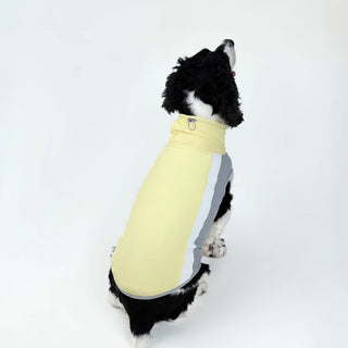 Gilet rafraîchissant SBL pour chien