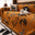 Bambou orange