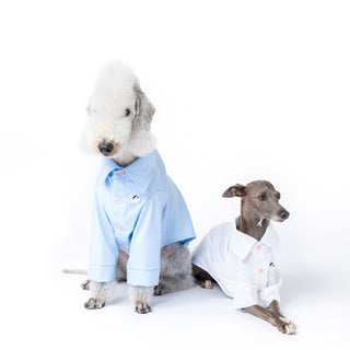 Chemise rafraîchissante et antiallergique pour chien en bambou