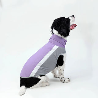 Gilet rafraîchissant SBL pour chien