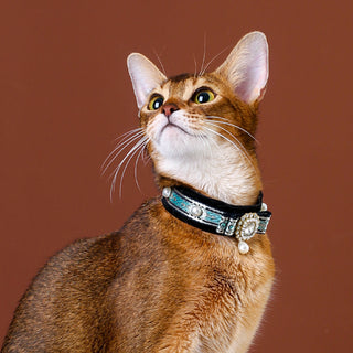 Collier ras-du-cou en velours pour chats