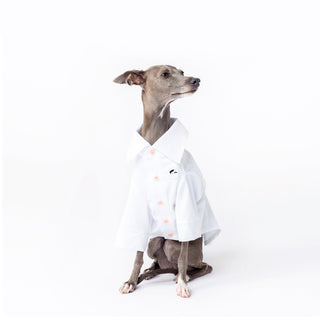 Chemise rafraîchissante et antiallergique pour chien en bambou