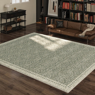 Tapis de salon traditionnel, facile à nettoyer, anti-éclaboussures, adapté aux animaux de compagnie, idéal pour une grande surface