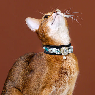 Collier ras-du-cou en velours pour chats