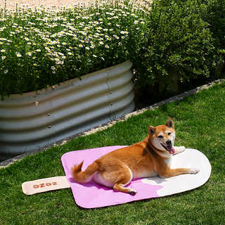 Tapis rafraîchissant pour animaux de compagnie ZEZE Pets Ice Cream