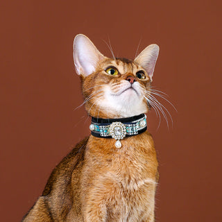 Collier ras-du-cou en velours pour chats