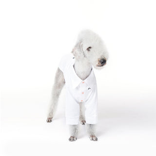 Chemise rafraîchissante et antiallergique pour chien en bambou