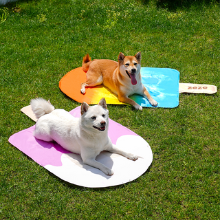 Tapis rafraîchissant pour animaux de compagnie ZEZE Pets Ice Cream