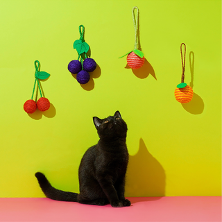 Jouets pour chats ZEZE Pets Tropical Fruits