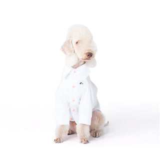 Chemise rafraîchissante et antiallergique pour chien en bambou