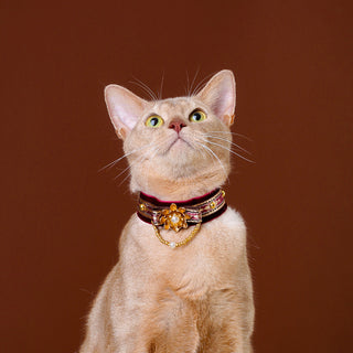 Collier ras-du-cou en velours pour chats