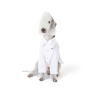 Chemise rafraîchissante et antiallergique pour chien en bambou