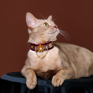 Collier ras-du-cou en velours pour chats