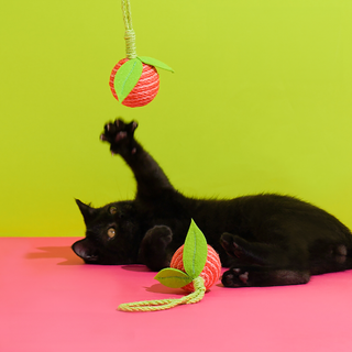 Jouets pour chats ZEZE Pets Tropical Fruits